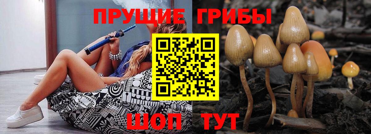 Галлюциногенные грибы мицелий Торжок